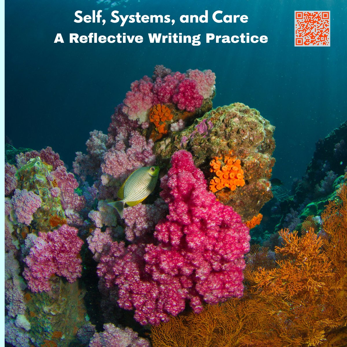 Dr. Sonali Vaid tweet media