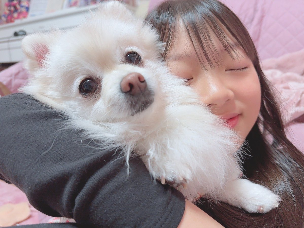 わんちゃんもちゃんと入ってるの最高