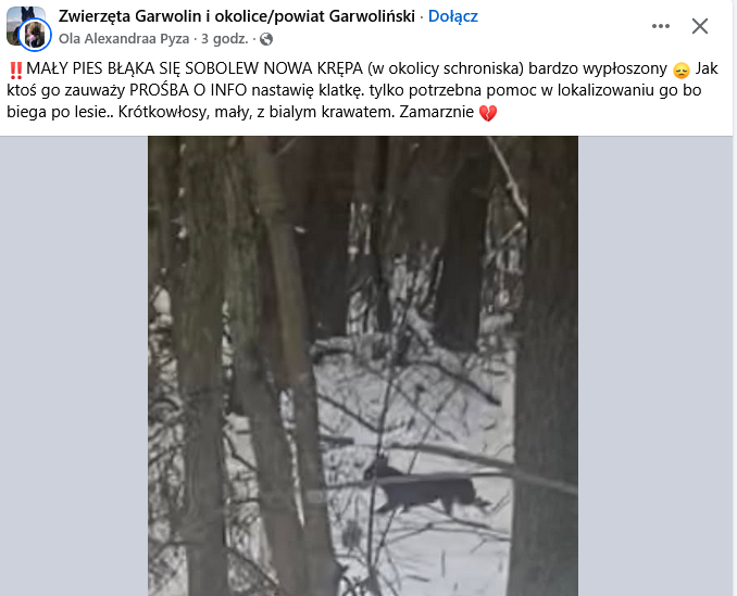 Sławomira tweet media