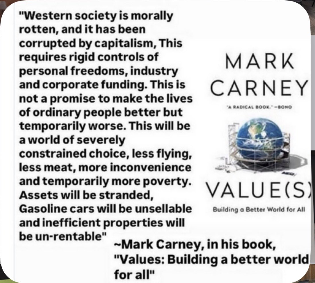 Splintersofbone's tweet image. RIGHT BOOK.

MARK CARNEY
VALUE(S) 
Building a Better World for All.