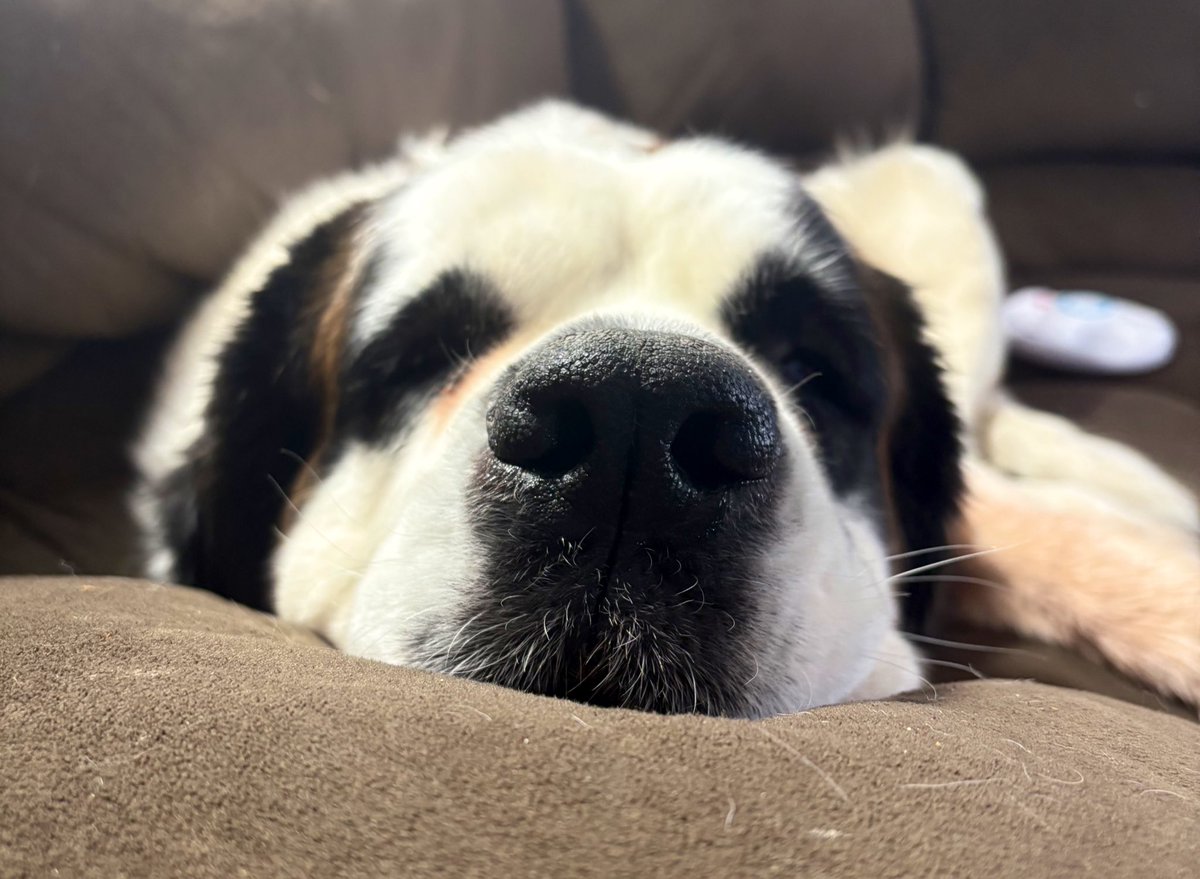 Locked TF in. #gopats