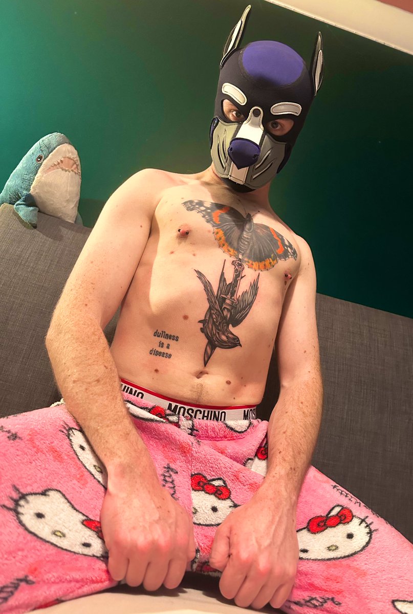 Pup Smudge tweet media