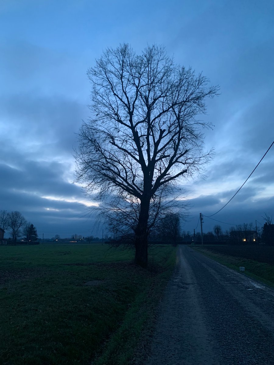 Filzi4's tweet image. I’ doto voi, nel mese di gennaio,
corte con fuochi di salette accese,
camer’e letta d’ogni bello arnese,
4lenzuoi di seta e copertoi di vaio,
     tregèa, confetti e mescere a razzaio,