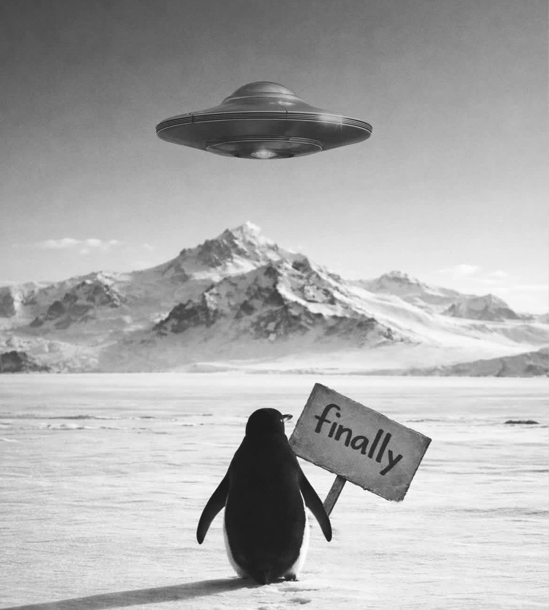 zeroartgallery's tweet photo. https://t.co/4cvLOu9cLO