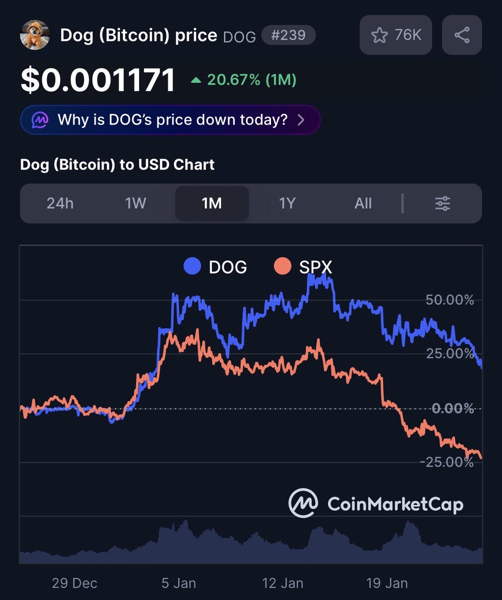 Vincent (Cryptolution) 👑 tweet media