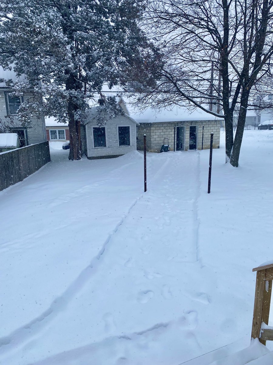 Aviditty's tweet image. It’s coming down pretty steady but here is round one!!! 🌨️❄️