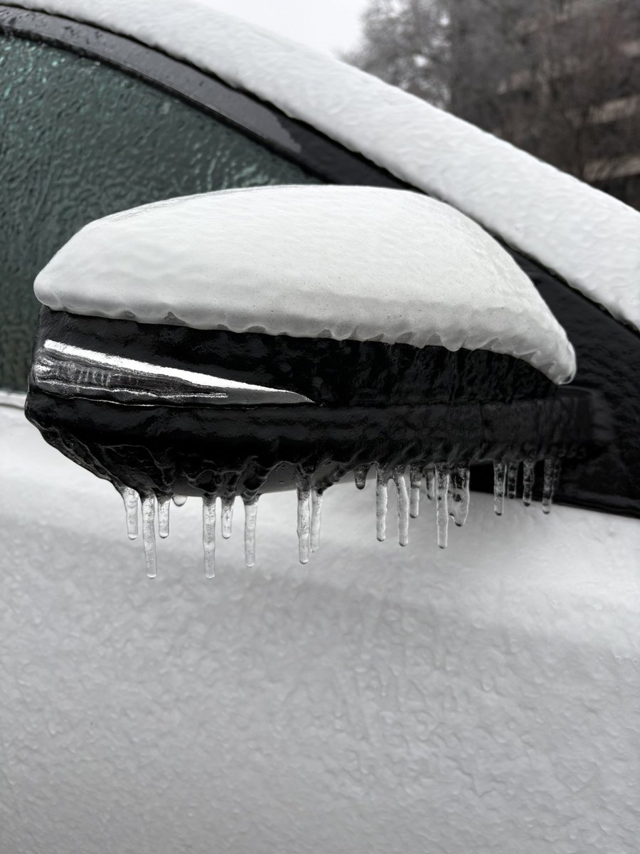 Veronica Dolan tweet media