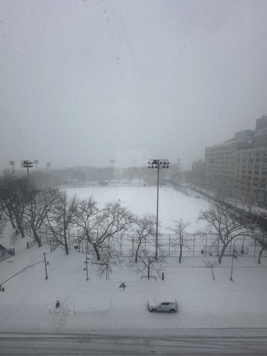 Good morning from New York