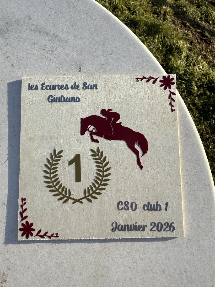 2ème concours seulement… et déjà 1 victoire🏆
Titi 🐎 dans ses premiers pas en compétition, remporte le 1er prix en CSO Club1 aux côtés de sa cavalière préférée #Laurie
Tant de travail, de confiance et de complicité pour ce moment magique ✨
Un duo d’enfer, uni par la #Passion💫