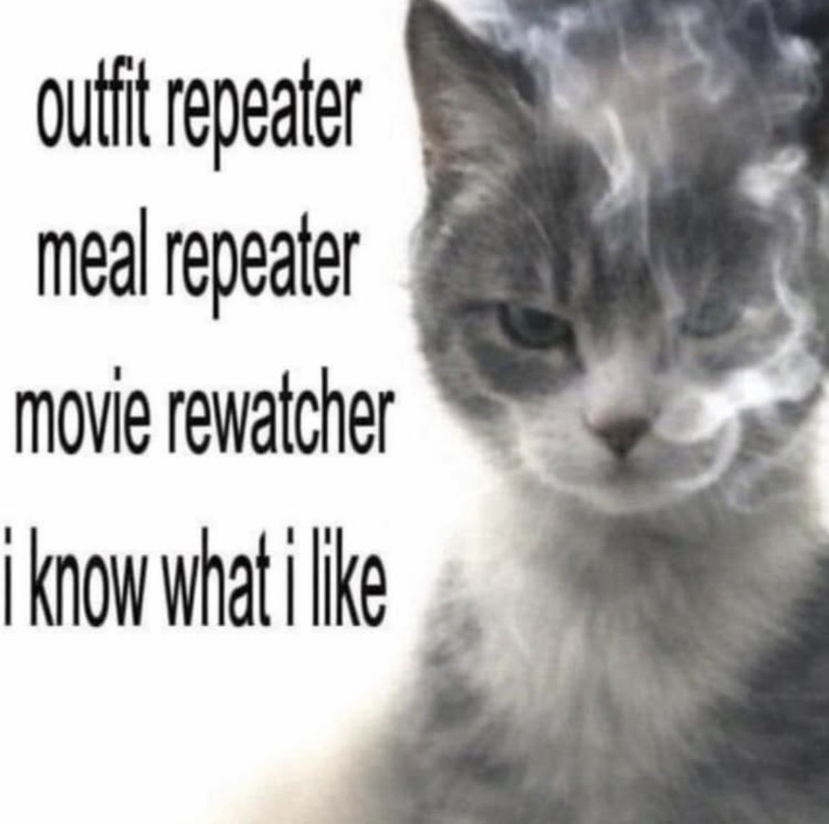 literallymecats's tweet photo. https://t.co/U1a4jfmoEi