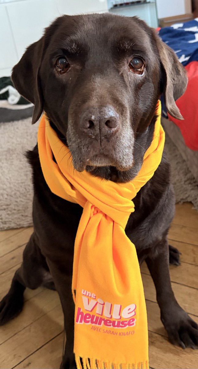 Rejoignez-nous pour rendre Paris heureuse ! 🐶☀️🚀 
sarahpourparis.fr