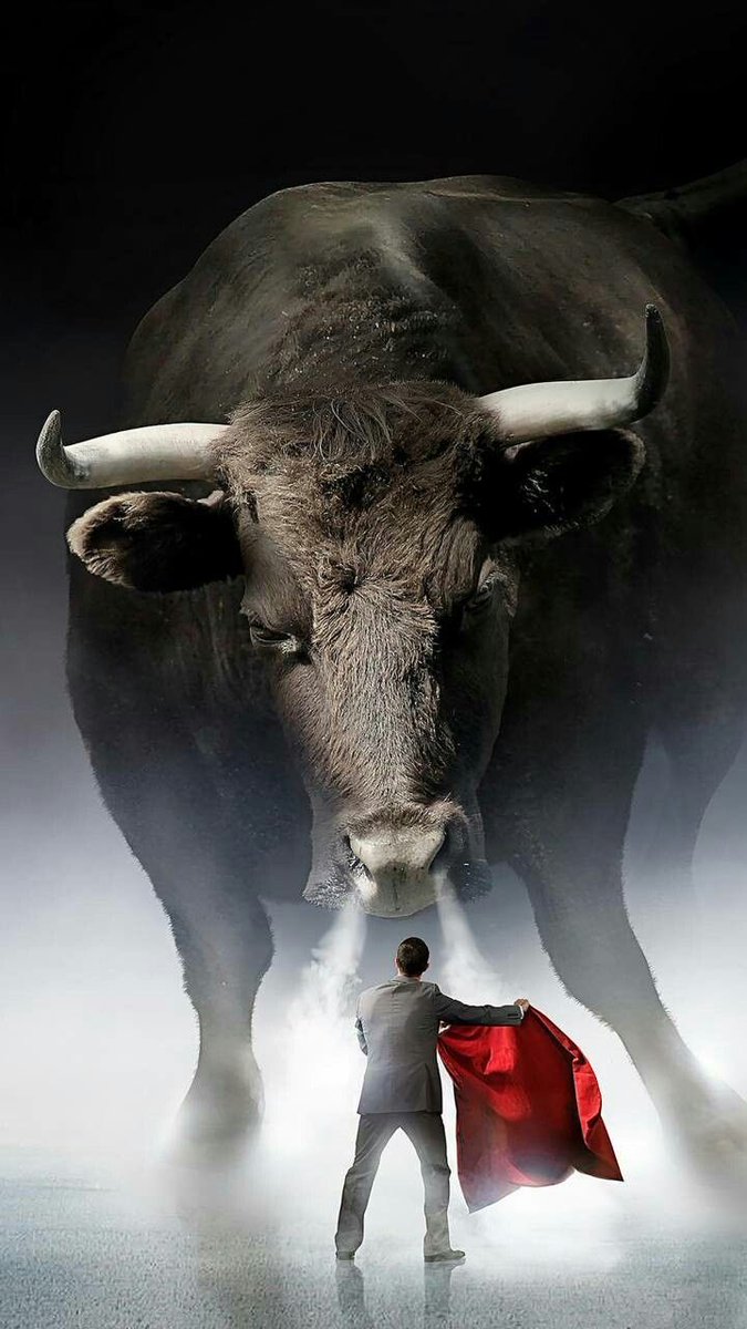 Gelecek ve geliyor..Eminim,güveniyorum.
Yatırımlara son kurşunlar sıkıldıysa sadece bekleyin.#BullMarket