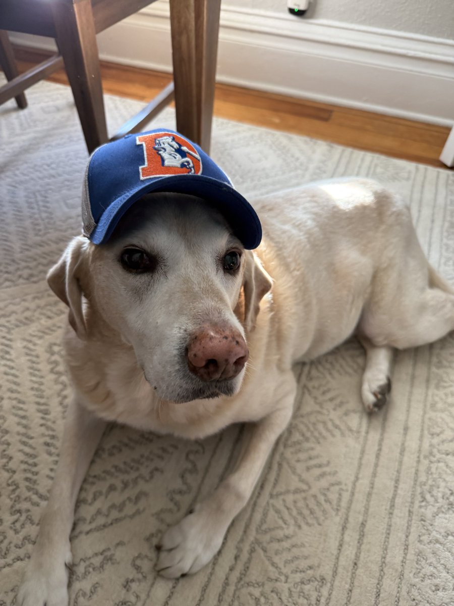 Ashley Michels tweet media