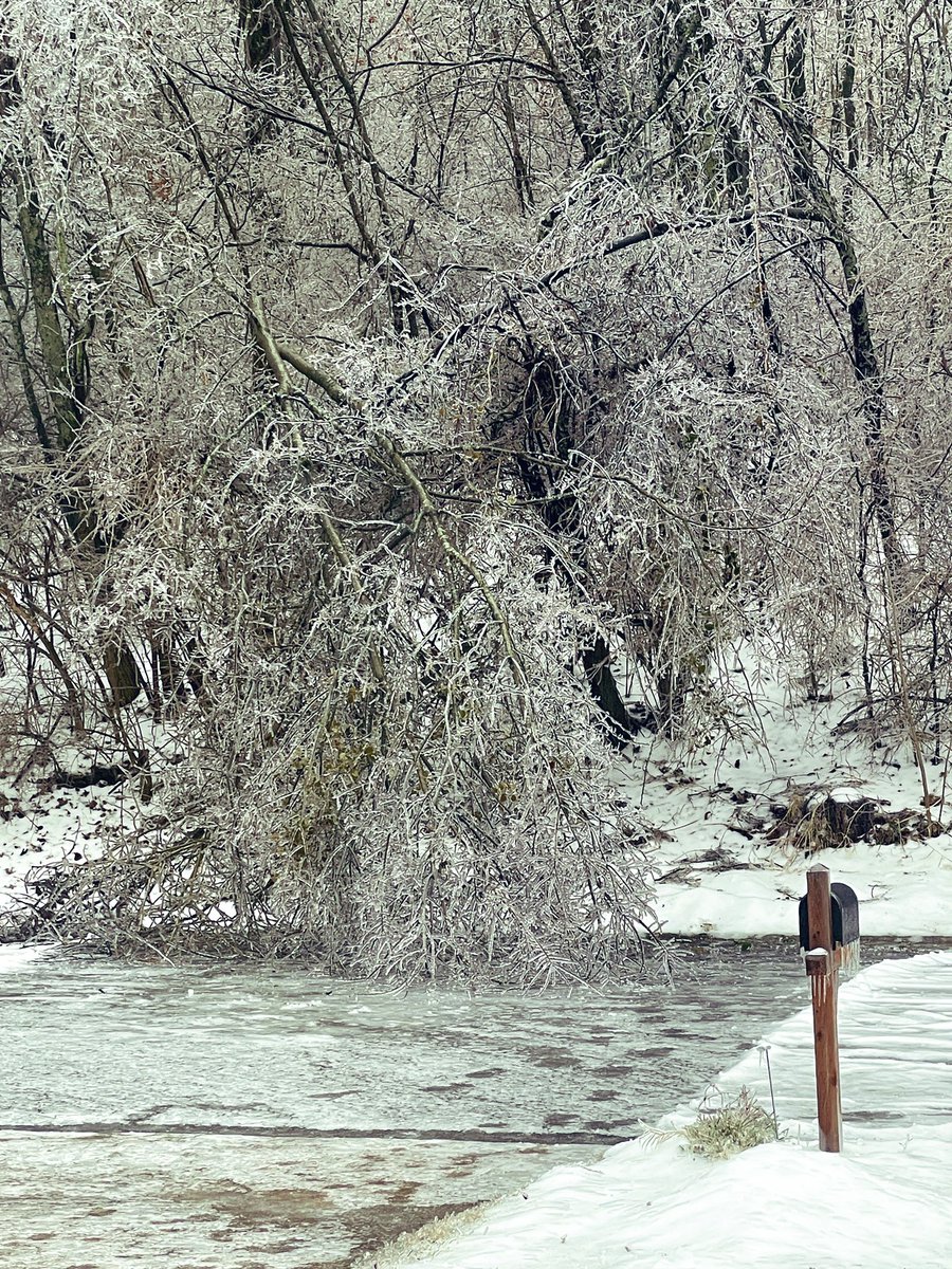 jkjumps's tweet photo. time for a new fence  🫠 

#tSpotter @NashSevereWx https://t.co/m3xpdlPZ2e