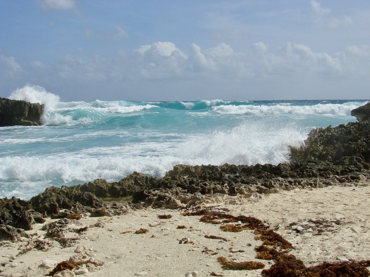 Sopheverafter's tweet image. Today's Photo Theme:  Warmer Weather #Warm 

Isla Cozumel, Mexico 🇲🇽