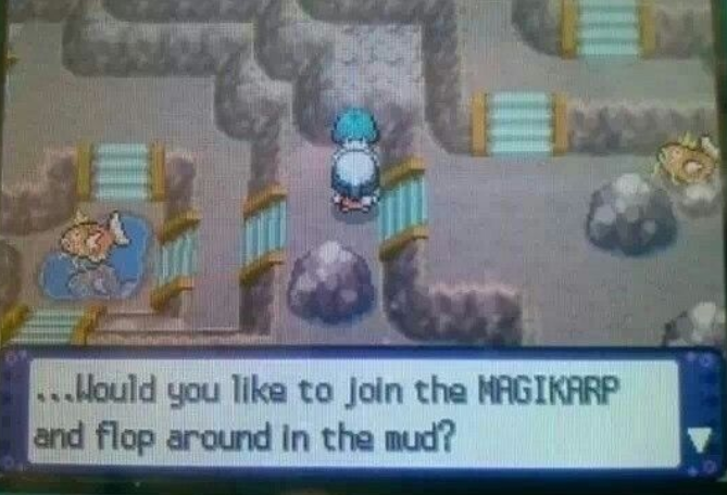 OoCPokemon's tweet image. 