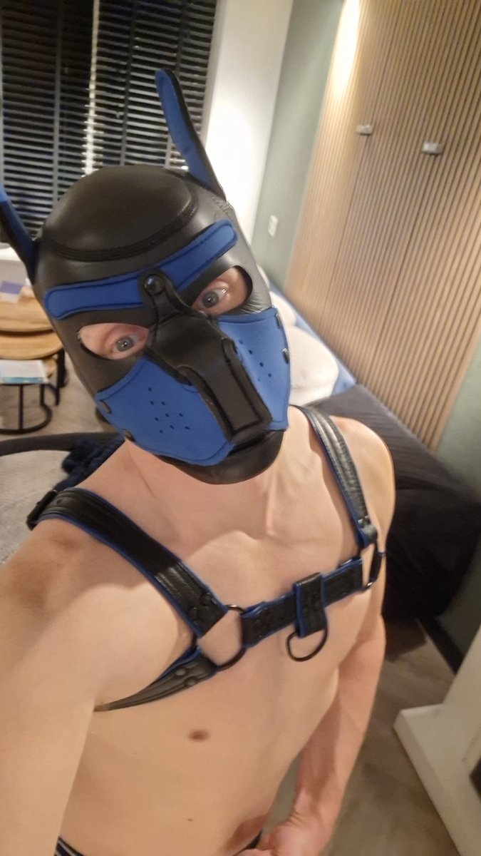 Dutch_Kevv_ tweet media