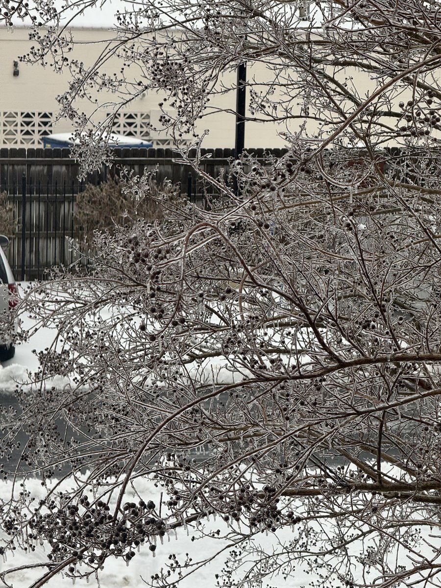 THN4AU's tweet photo. Lexington KY last night and today @spann https://t.co/avfSFfQRmg