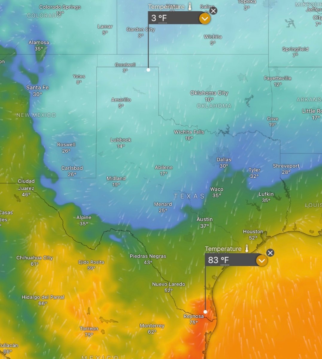 People obsess over 'global average temperature' like it's some sacred number.

Right now, in Texas, one spot is sitting at 3°F while another is baking at 83°F... an 80-degree difference on the exact same day.

A single global average hides massive regional extremes and tells you
