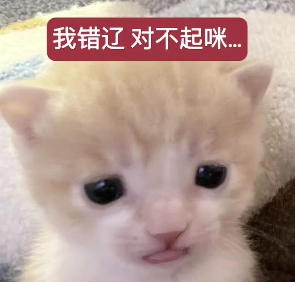 以前的我看不起被包养和找金主的，现在的我只想求教程。😅