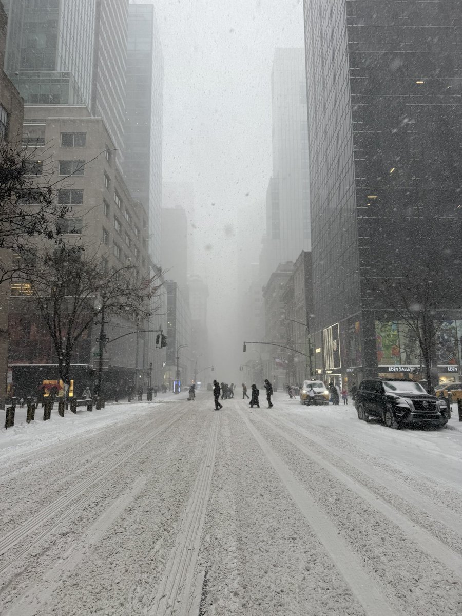 Hanna353 tweet media