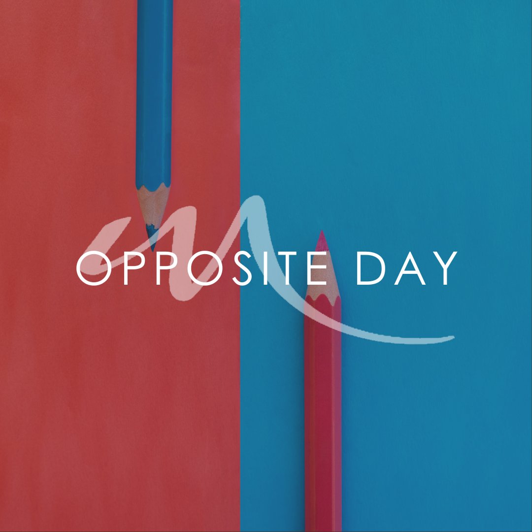 Modera44Apartments tweet media