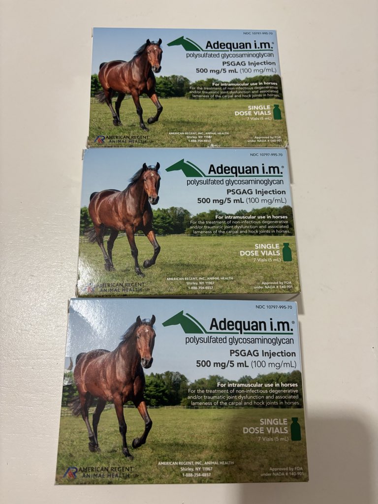 Prenseslerimin ilaçlar hazır ?