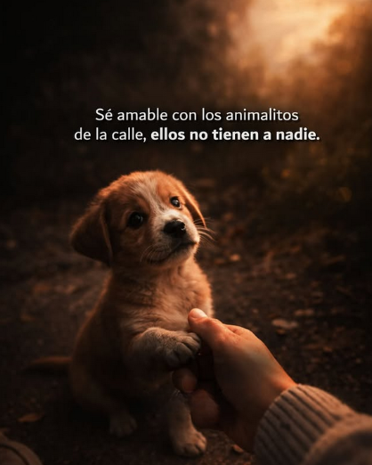 HOMBRES (@hombres) on Twitter photo 