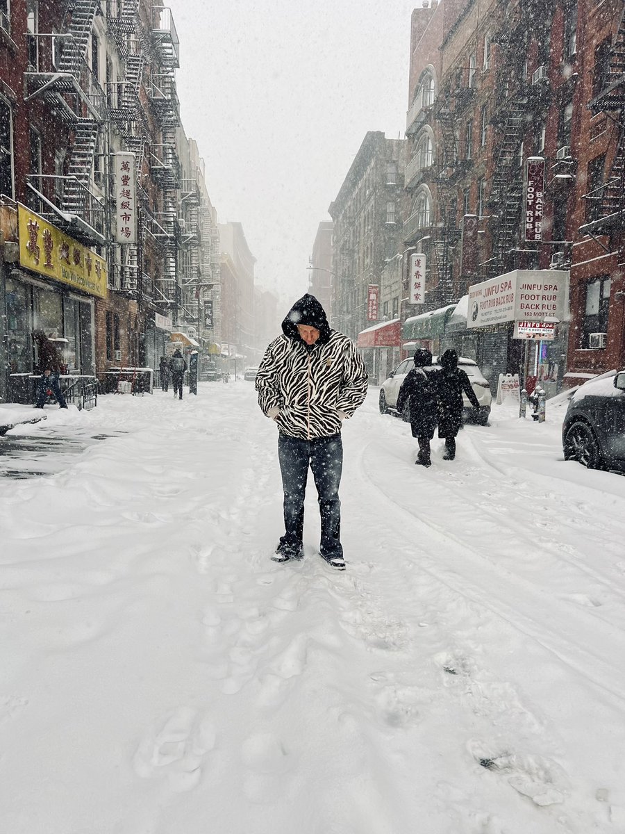 ZebraZ in a blizzard