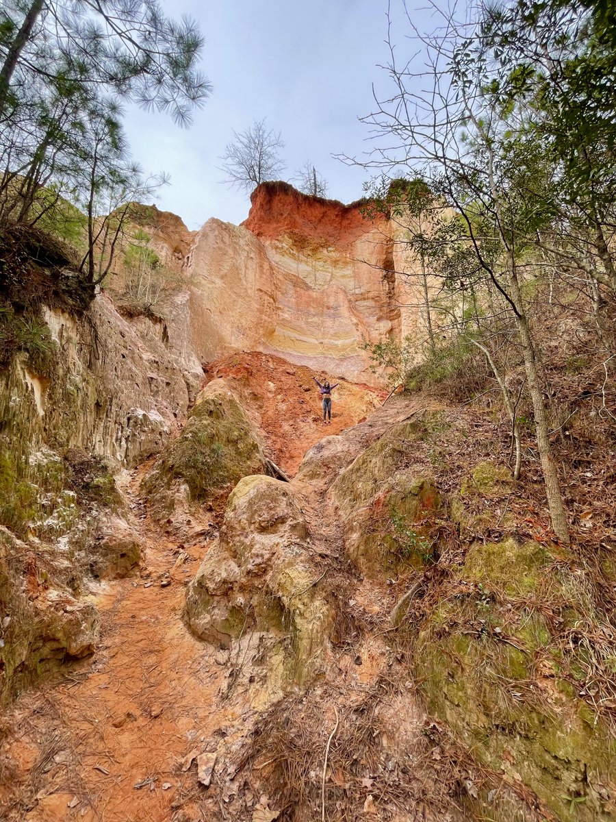 alexxattack's tweet image. 