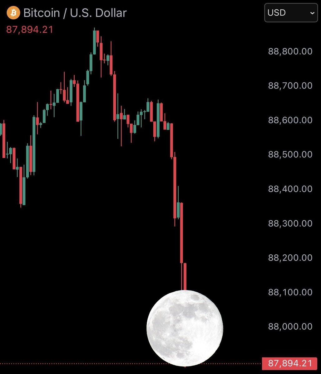 tochi (@oxtochi) / Posts / X