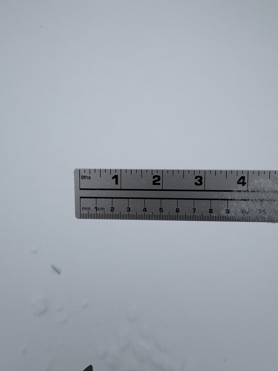 Blockgqmer's tweet photo. @NWSStLouis ~21 cm of snow from  on vacant lot (Mud) in Kirkwood, Mo at 1705 Z. 8 additional cm since 0425 Z. https://t.co/aOUY9A626H