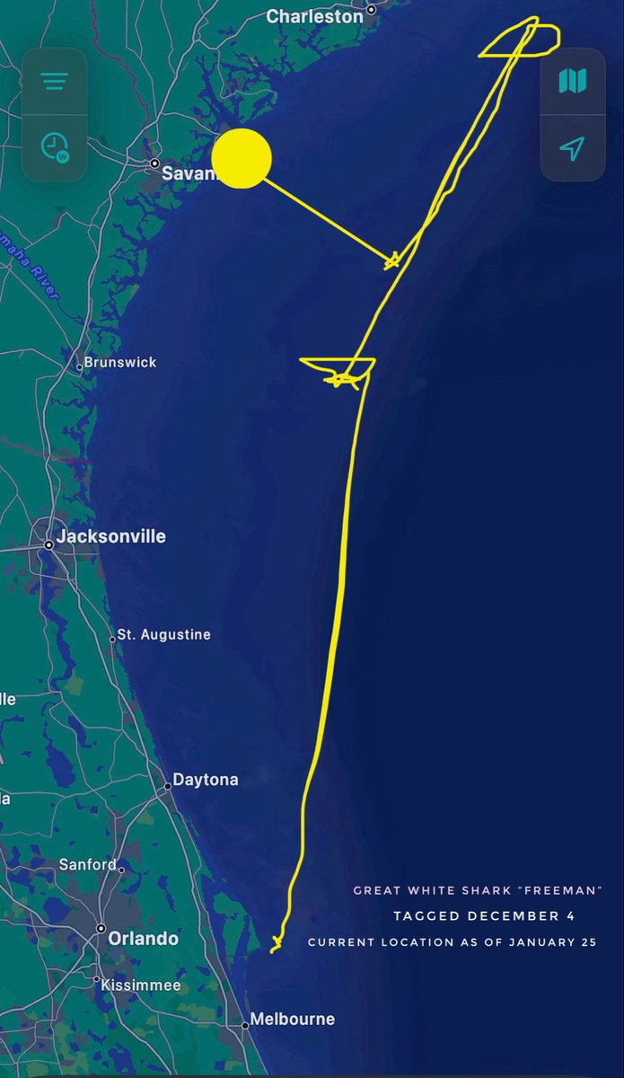 Chip Michalove tweet media