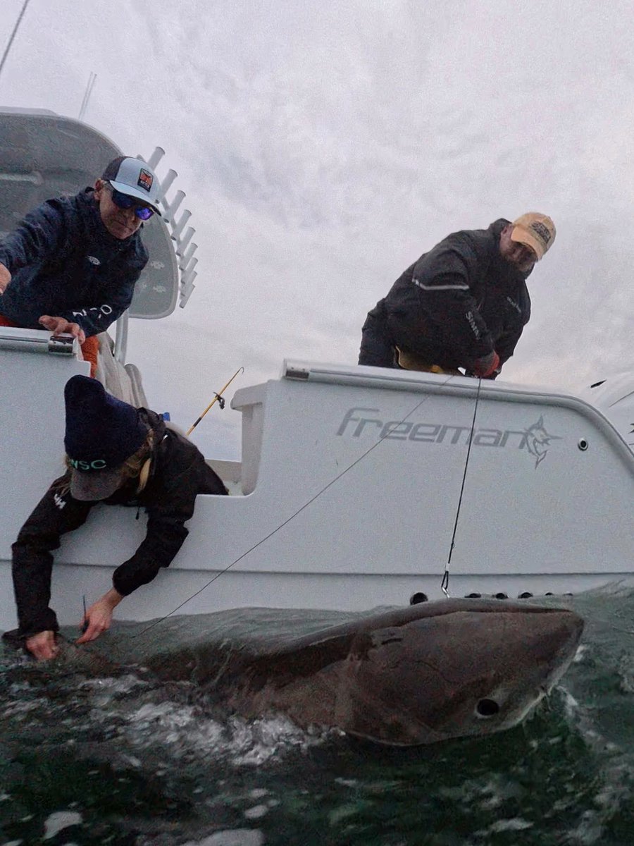 Chip Michalove tweet media