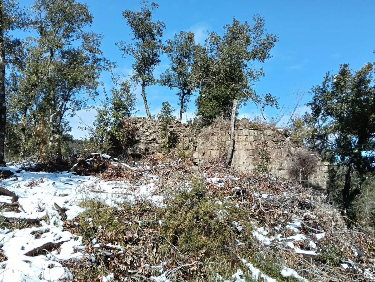 Eva Roger tweet media