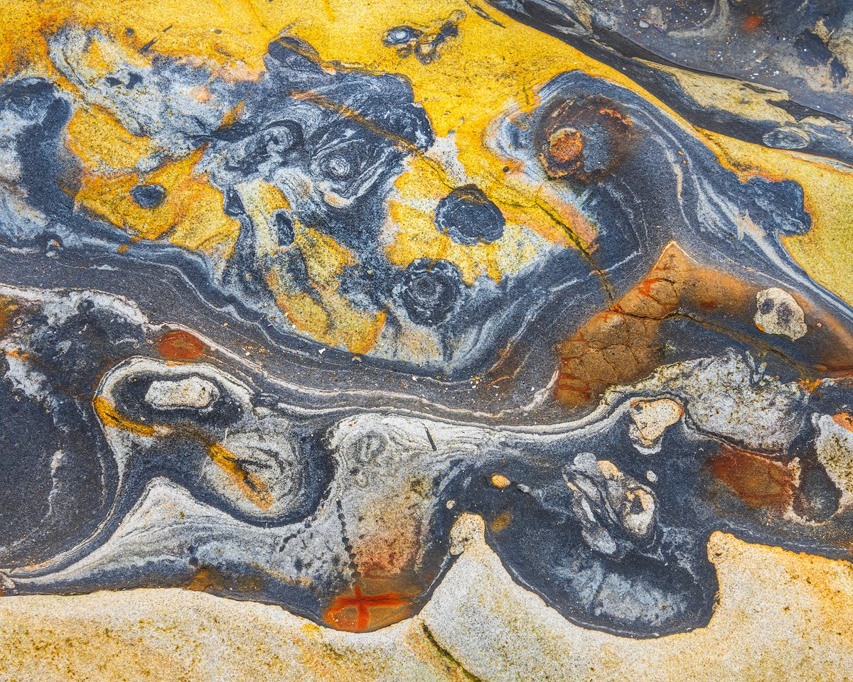 Michael Shainblum tweet media