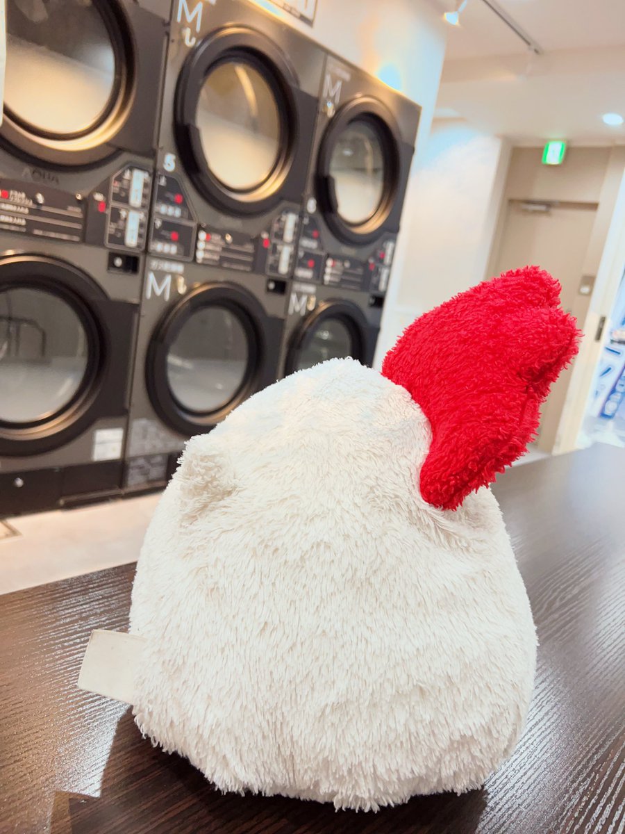 kakeru_bird's tweet photo. 自分の中でかやあげが命として生きすぎてて洗濯とかできなくなってきてる 怖がってるし https://t.co/OiR2Ojc6V0