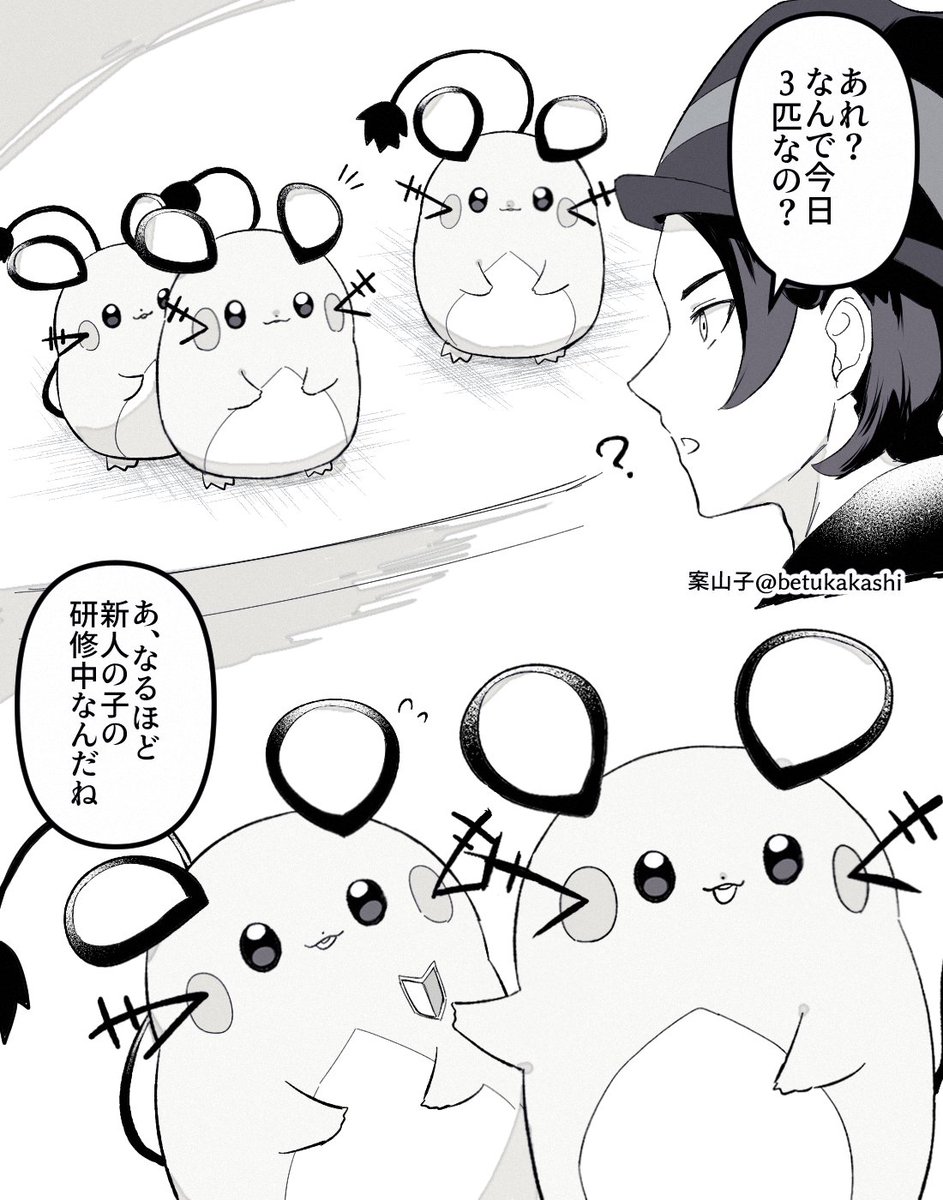 どういう感じで採用してるんだろうか