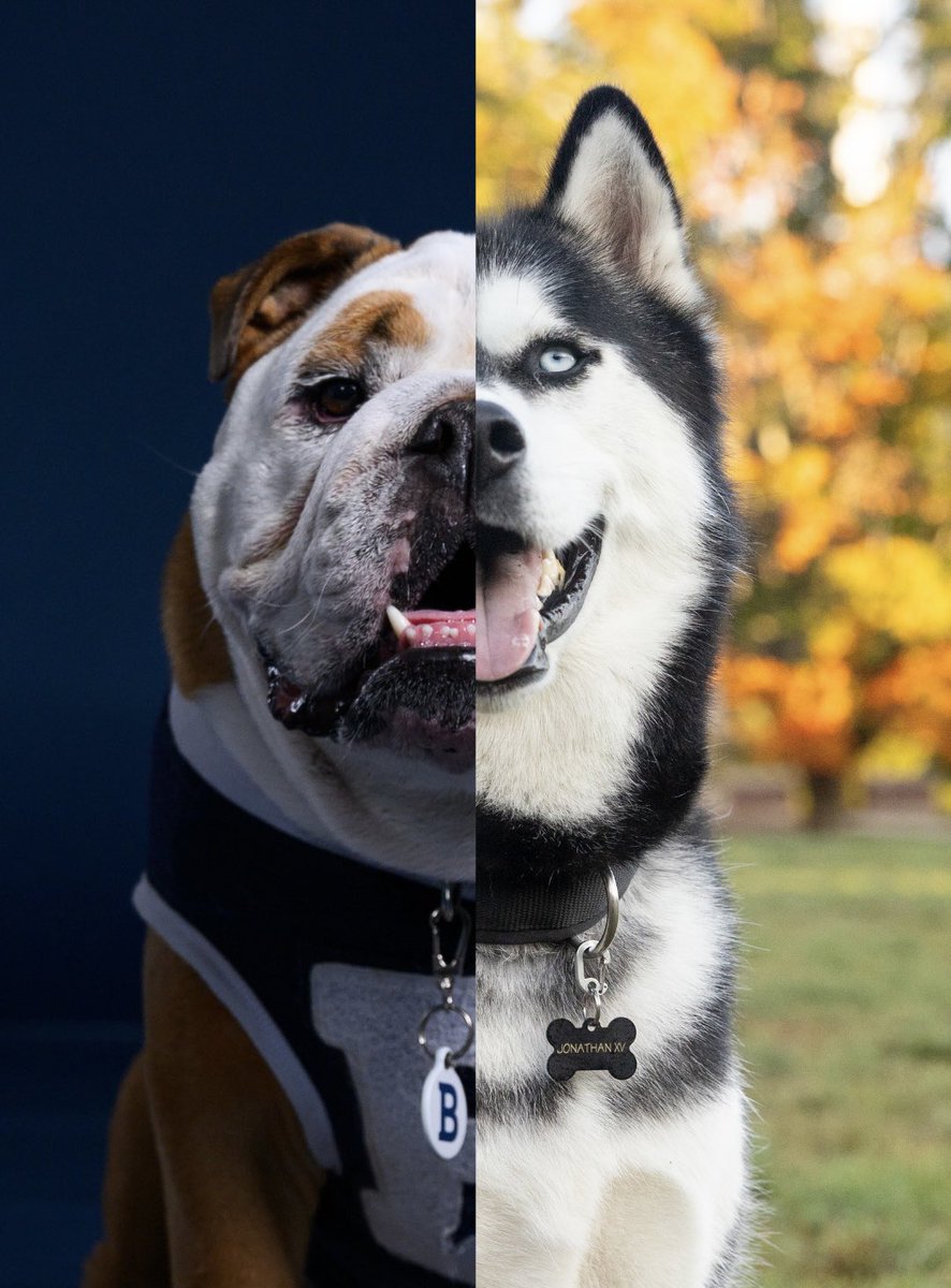 Jonathan the Husky tweet media