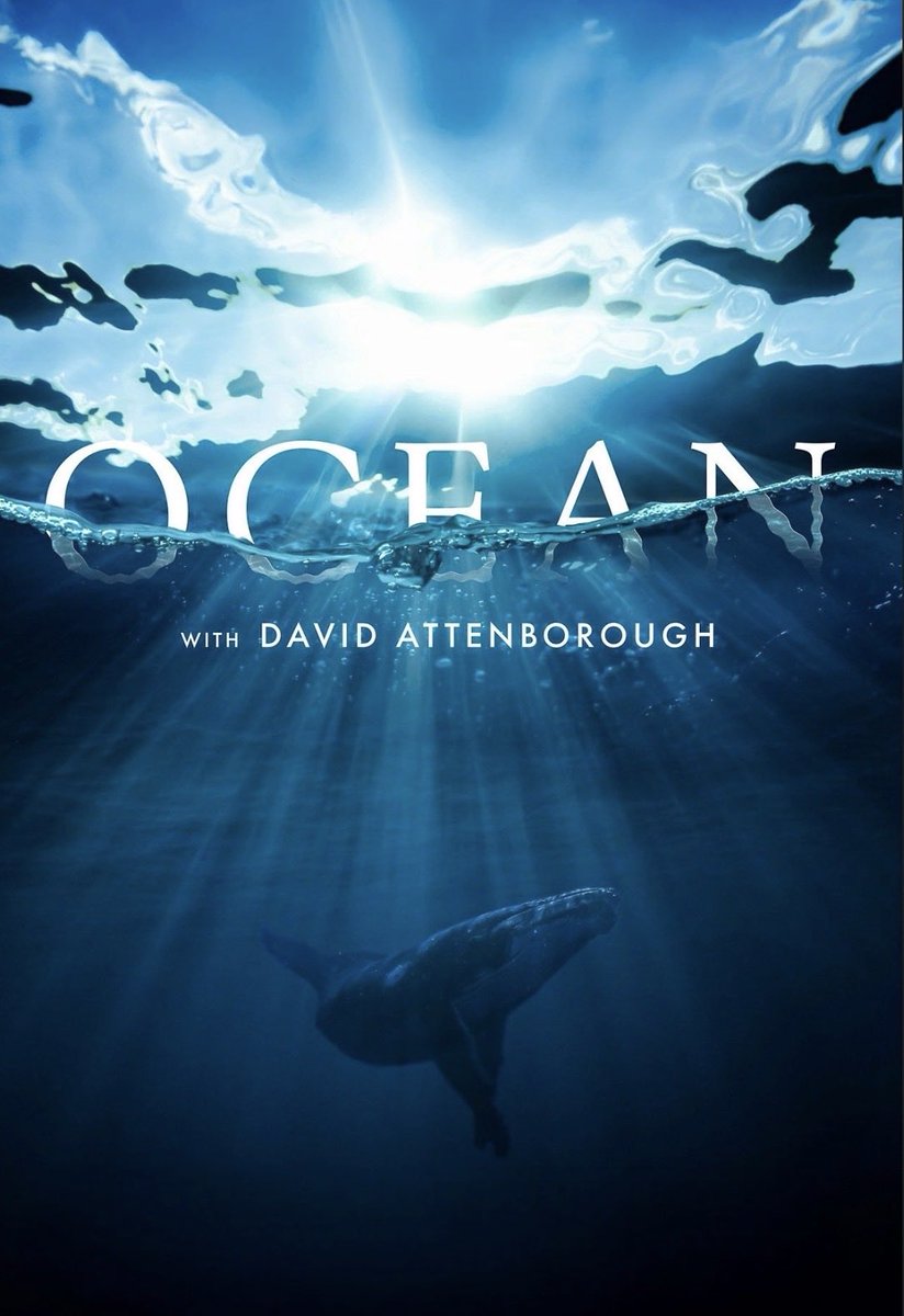 🎃 What About Bob 🎃 tweet media