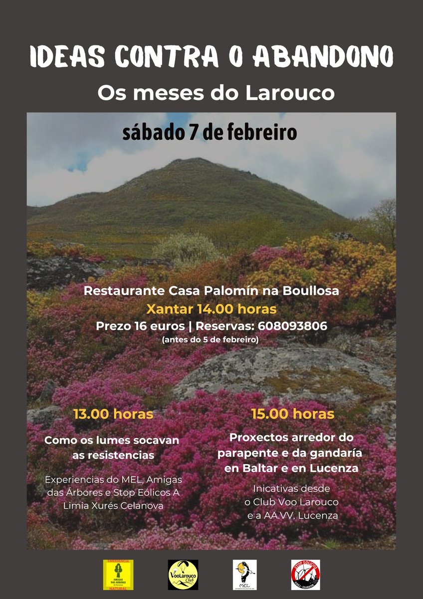 Ollar na Limia tweet media