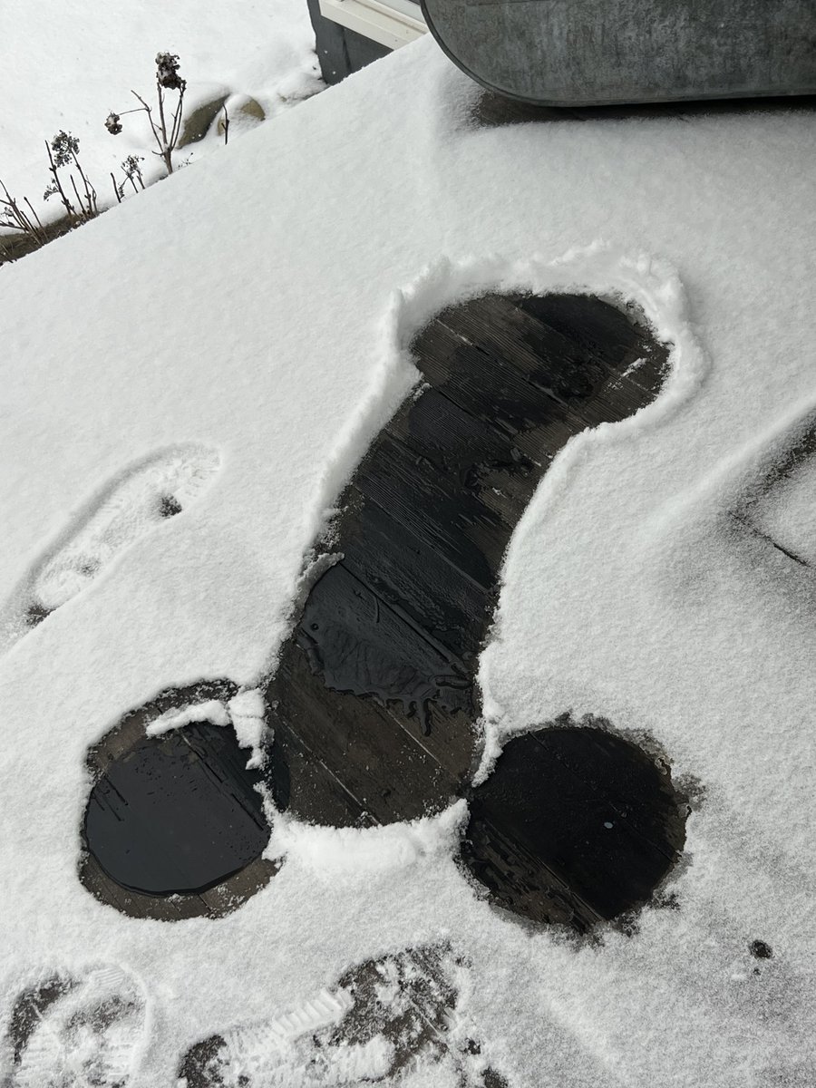 PigFFuck's tweet photo. Wonder what creature made this imprint? #mushroomstamp https://t.co/mLWEpeLYGa