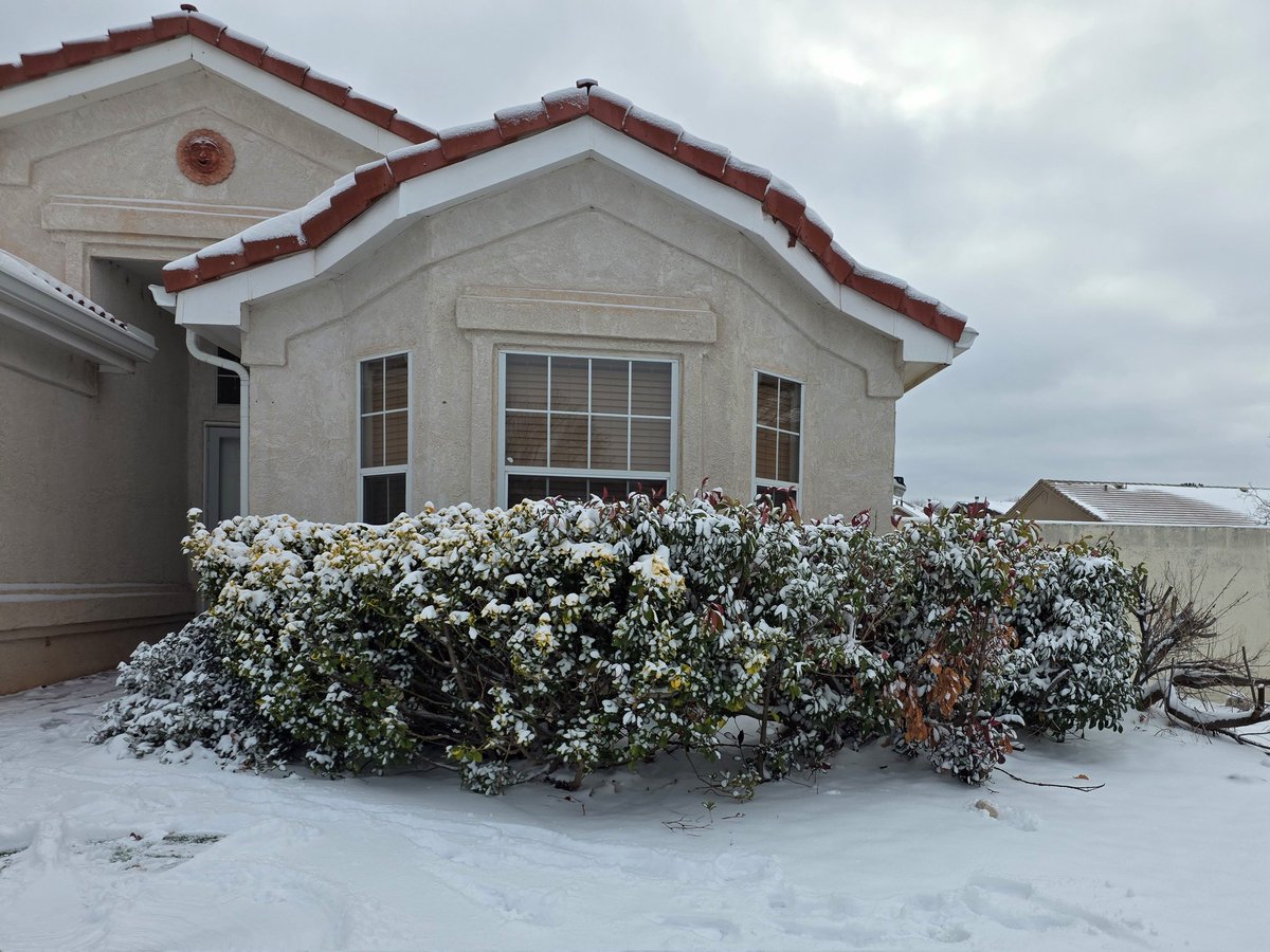 Jenny Fulton tweet media