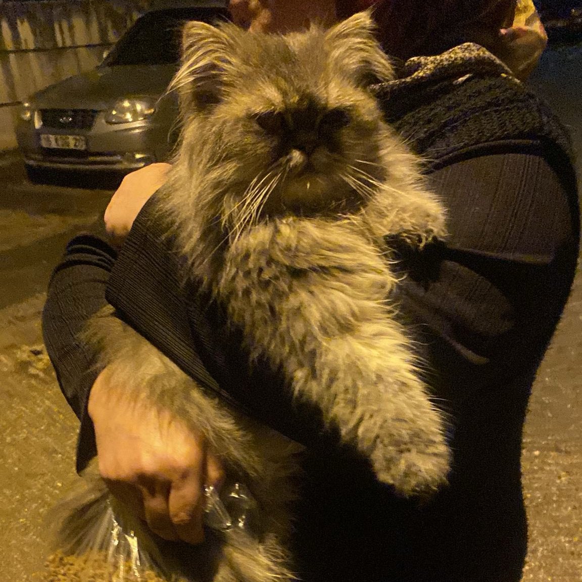 Bu bebiş sokağa terk edilmiş, şuan geçici yuvada. Veteriner ağzı için klinikte tedaviye başlaması gerekiyo demiş, tedavi olumlu sonuç vermezse dişinden olabilirmiş maalesef:( Onu çok sevicek ve tedavisine destek olucak ailesini arıyo Mudanya’da. BURSA

İletişim: 0553 265 9444