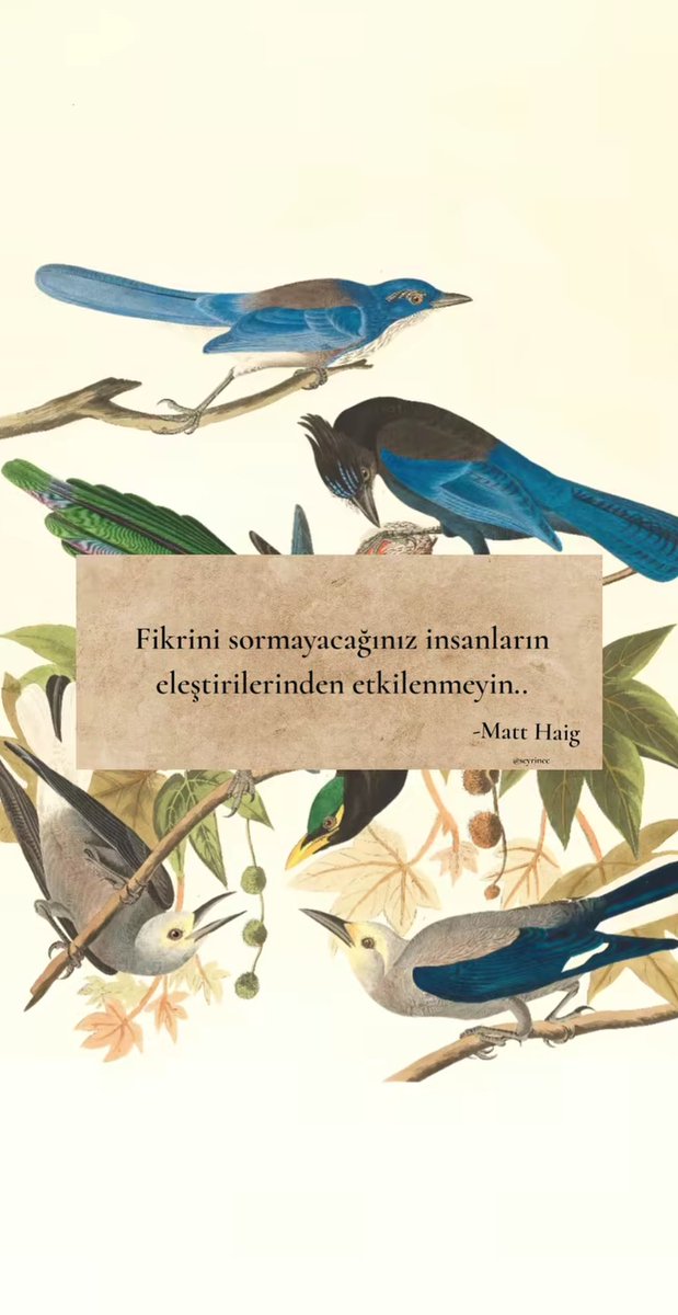 “Fikrini sormayacağınız insanların eleştirilerinden etkilenmeyin.”
