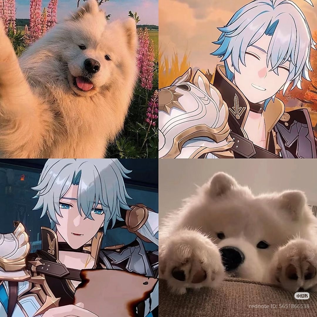 they're so silly i love them 😭🫶🎀

🔗 xhslink.com/o/6cGumLBKAEn