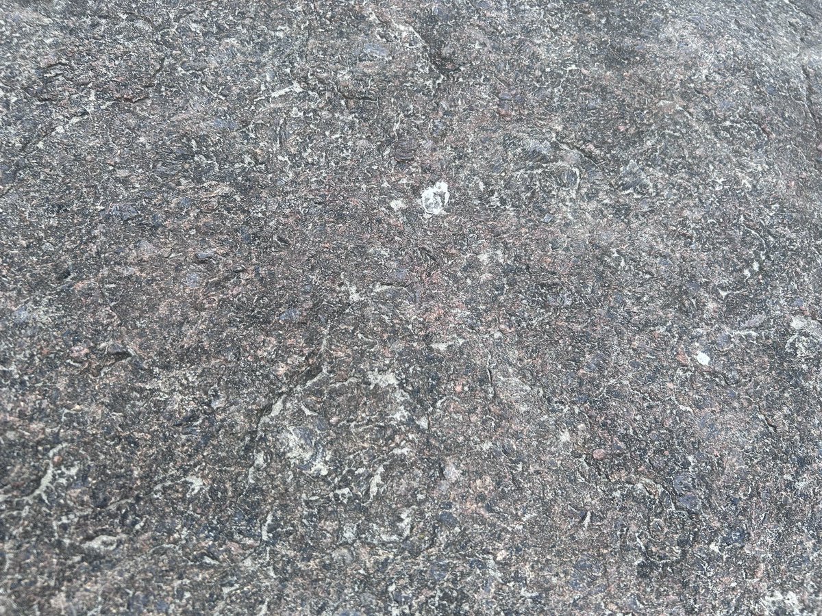 vtd.fml no @ tweet media