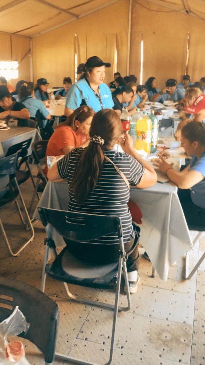 Ejército de Chile tweet media