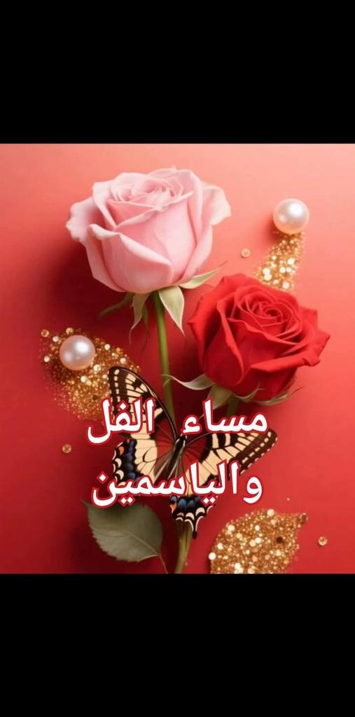 bnoootaa00's tweet photo. أيًّا أيها النجم المحلق في الدجى
بربك سل ليلى أما سئمت هجرا

ويا نجم إن مرت بك اليوم ليلتي
فبلغ سلاما حره يسقط الصخرا

وقل إنه المشتاق أَوْهَتْه لوعة
فمنّوا له بالقرب كي تحصدوا الأجرا 
  وقد كان لي أيام قربٍ كأنها
ربيع، وأما الآن قد أصبحت قفرا https://t.co/2HrofCaQCb
