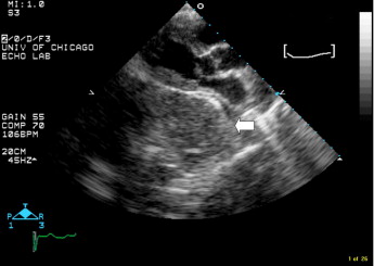 Dan Matasic tweet media